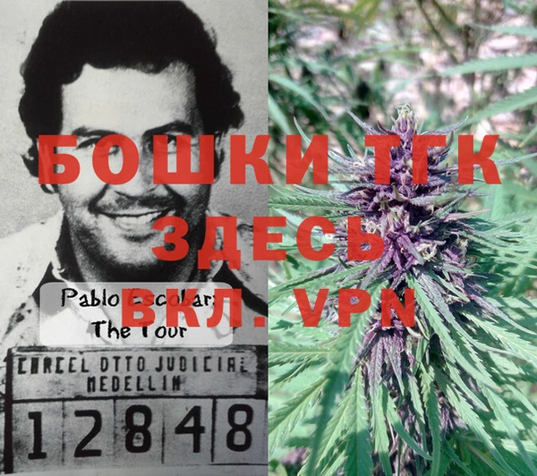каннабис Белокуриха