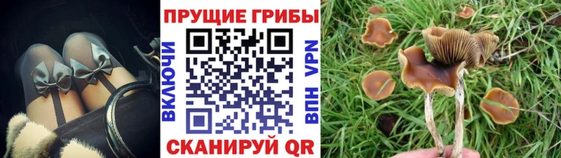 Псилоцибиновые грибы прущие грибы  Катав-Ивановск 
